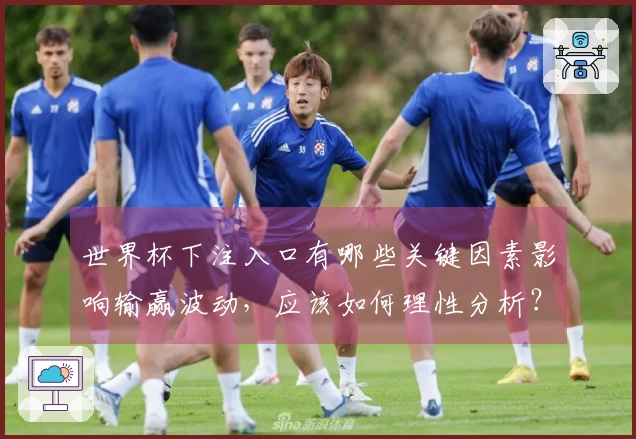 世界杯下注入口有哪些关键因素影响输赢波动，应该如何理性分析？
