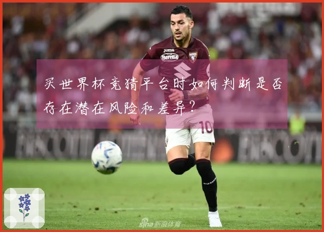 买世界杯竞猜平台时如何判断是否存在潜在风险和差异？