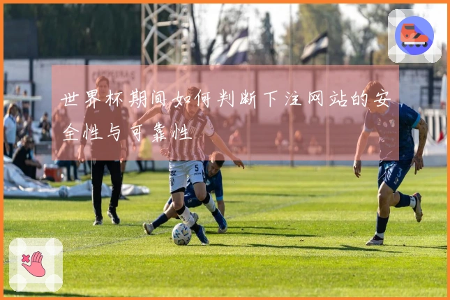 世界杯期间如何判断下注网站的安全性与可靠性