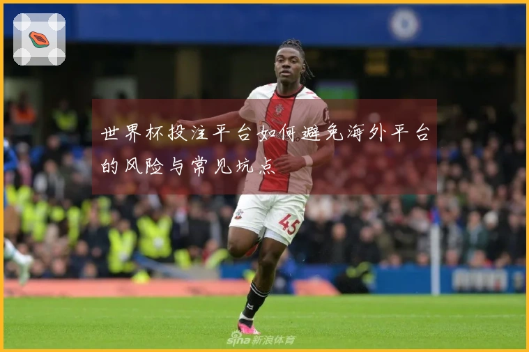 世界杯投注平台如何避免海外平台的风险与常见坑点