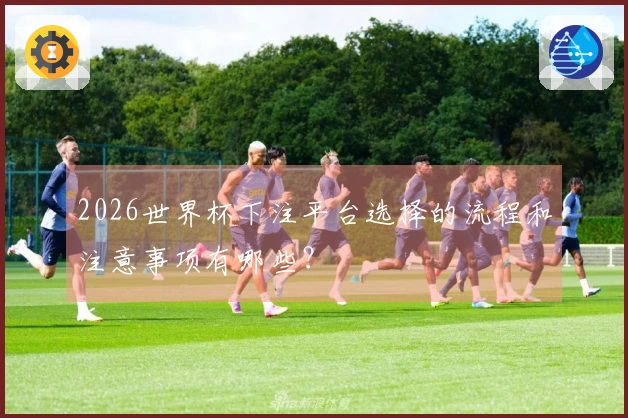 2026世界杯下注平台选择的流程和注意事项有哪些？