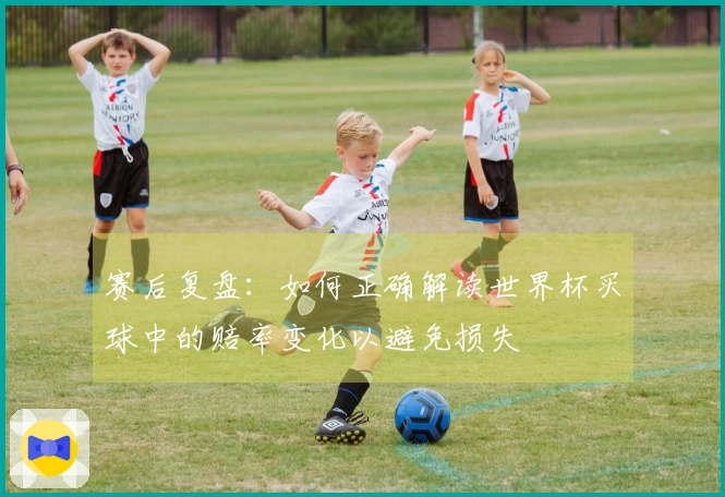 赛后复盘：如何正确解读世界杯买球中的赔率变化以避免损失
