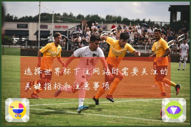 选择世界杯下注网站时需要关注的关键指标和注意事项