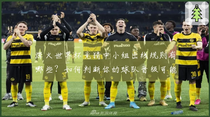 烽火世界杯竞猜中小组出线规则有哪些？如何判断你的球队晋级可能性？