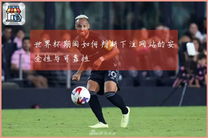世界杯期间如何判断下注网站的安全性与可靠性