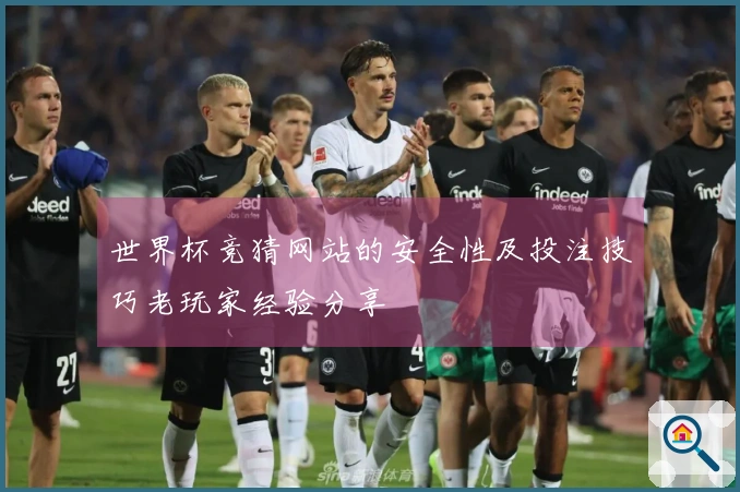 世界杯竞猜网站的安全性及投注技巧老玩家经验分享