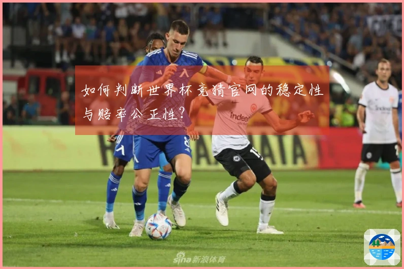如何判断世界杯竞猜官网的稳定性与赔率公正性？