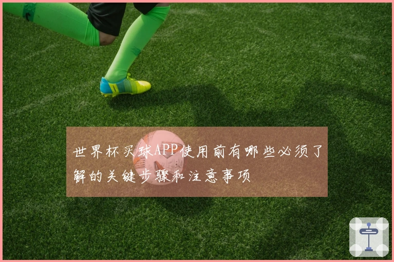 世界杯买球APP使用前有哪些必须了解的关键步骤和注意事项