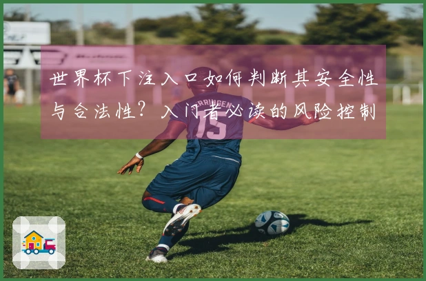 世界杯下注入口如何判断其安全性与合法性？入门者必读的风险控制指南