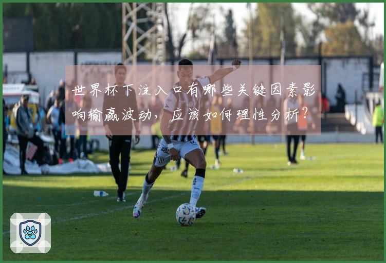世界杯下注入口有哪些关键因素影响输赢波动，应该如何理性分析？