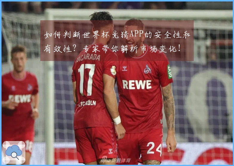 如何判断世界杯竞猜APP的安全性和有效性？专家带你解析市场变化！