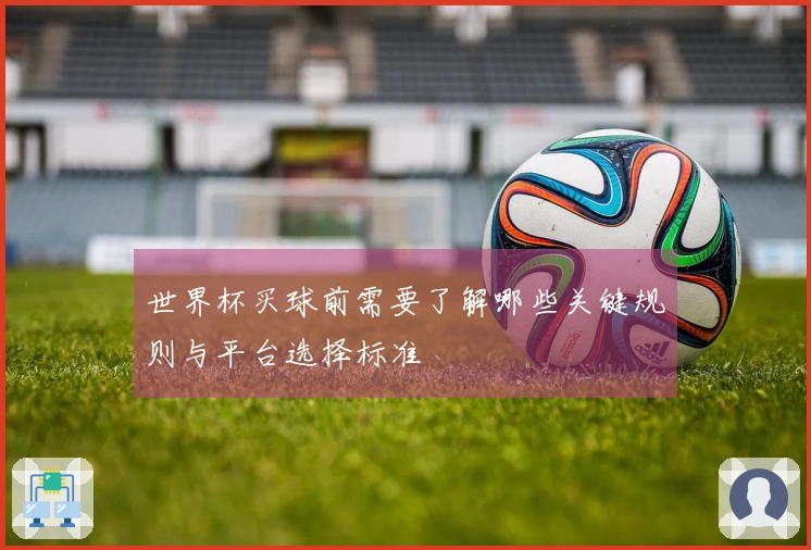 世界杯买球前需要了解哪些关键规则与平台选择标准