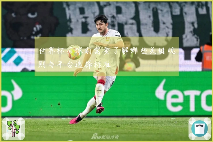 世界杯买球前需要了解哪些关键规则与平台选择标准