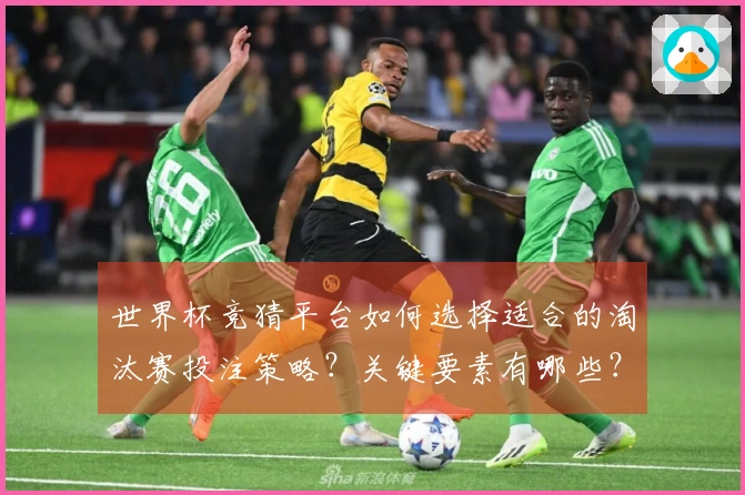 世界杯竞猜平台如何选择适合的淘汰赛投注策略？关键要素有哪些？