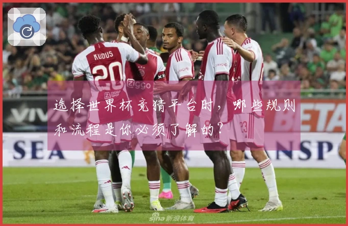选择世界杯竞猜平台时，哪些规则和流程是你必须了解的？