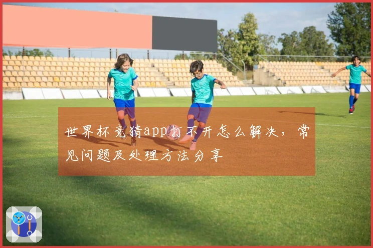 世界杯竞猜app打不开怎么解决，常见问题及处理方法分享