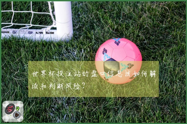 世界杯投注站的盘口信息该如何解读和判断风险？