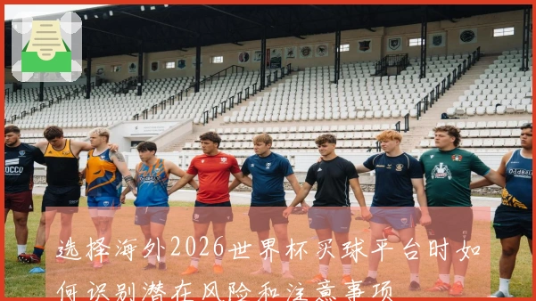选择海外2026世界杯买球平台时如何识别潜在风险和注意事项
