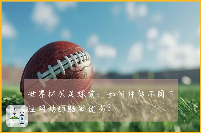 世界杯买足球前，如何评估不同下注网站的赔率优劣？