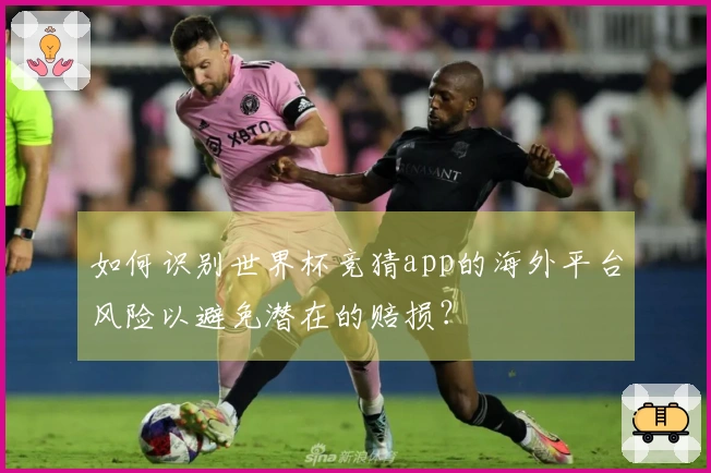 如何识别世界杯竞猜app的海外平台风险以避免潜在的赔损？
