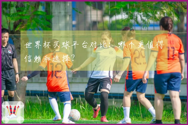 世界杯买球平台对比：哪个更值得信赖和选择？