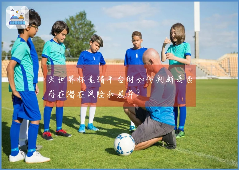 买世界杯竞猜平台时如何判断是否存在潜在风险和差异？