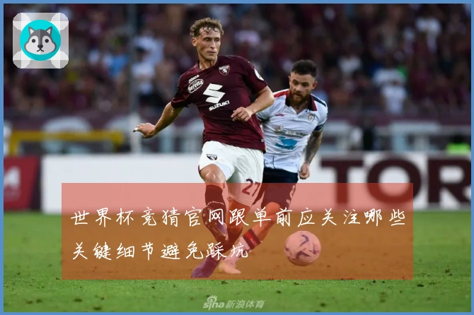 世界杯竞猜官网跟单前应关注哪些关键细节避免踩坑