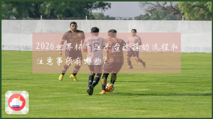 2026世界杯下注平台选择的流程和注意事项有哪些？