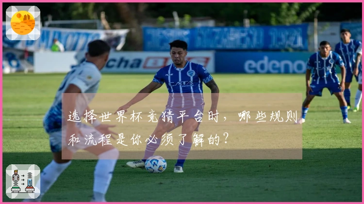 选择世界杯竞猜平台时，哪些规则和流程是你必须了解的？