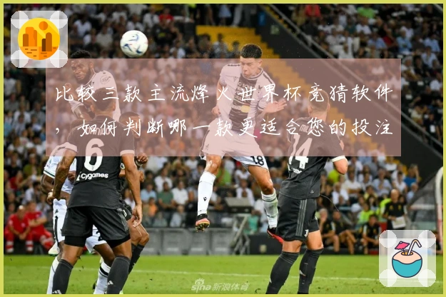 比较三款主流烽火世界杯竞猜软件，如何判断哪一款更适合您的投注需求？