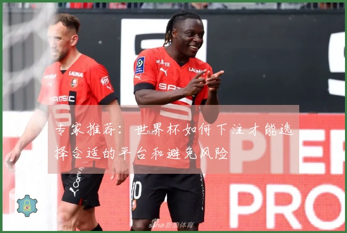 专家推荐：世界杯如何下注才能选择合适的平台和避免风险