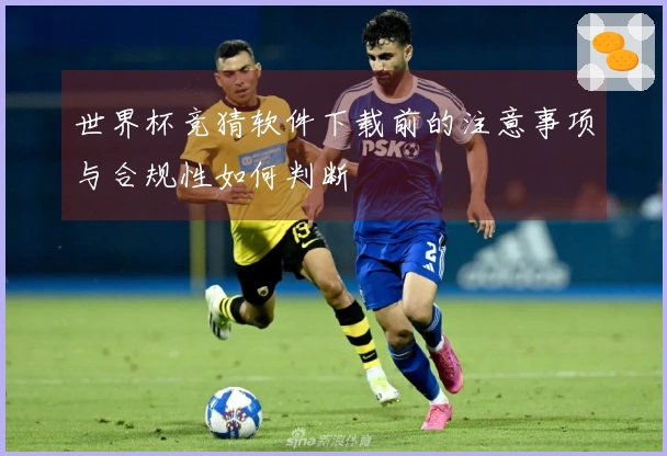 世界杯竞猜软件下载前的注意事项与合规性如何判断